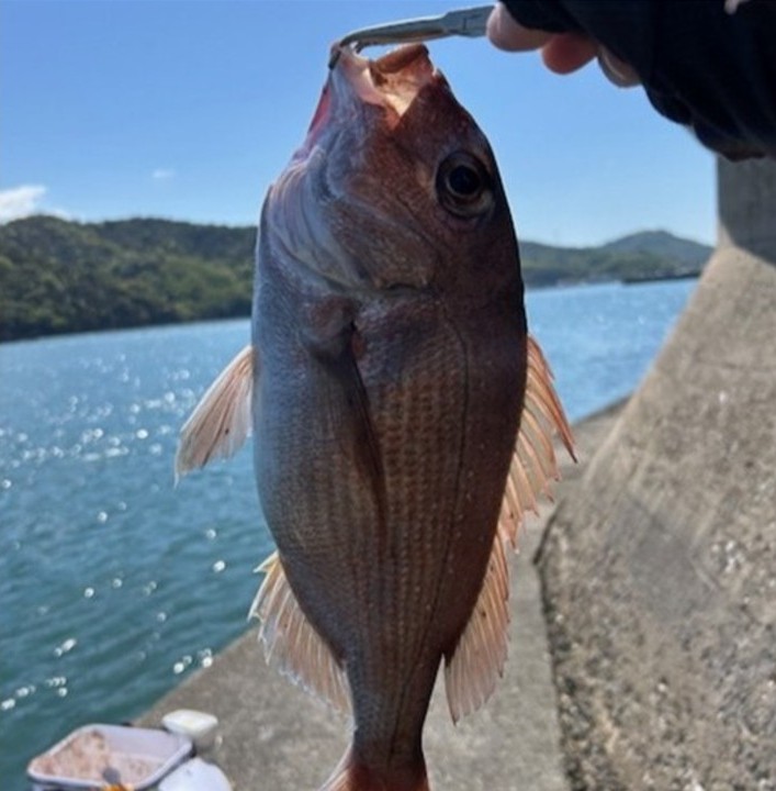 しまなみレンタサイクル（尾道側）へのドリンクホルダー装着について