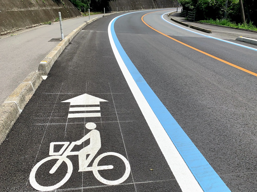 blue line bike